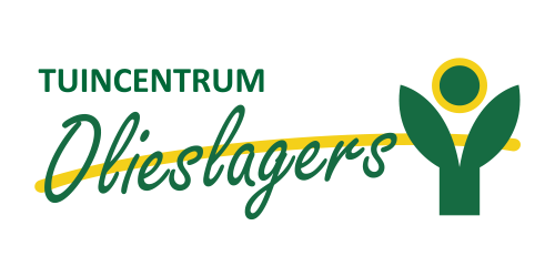 Olieslagers_500x250px_DEF